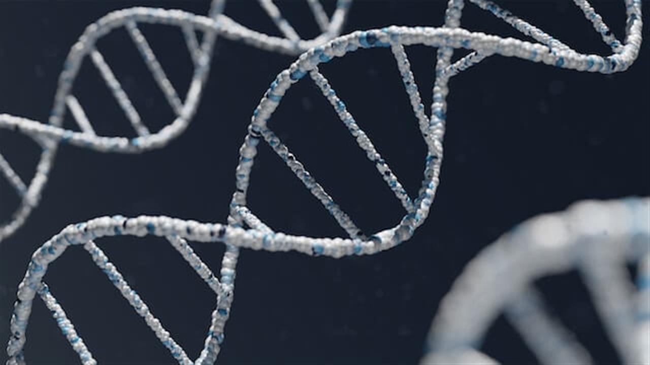 Den fascinerende verden af dna at dechifrere livets hemmeligheder