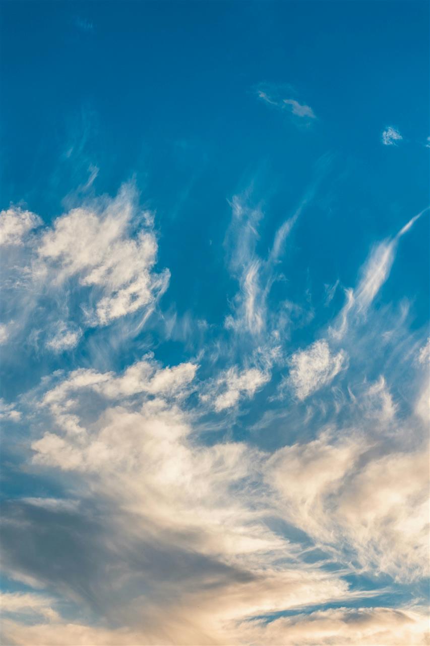 Frisk luft hjemmet alt om luftrensere for husejere
